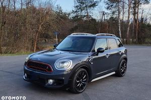 Ricambi Mini Countryman 