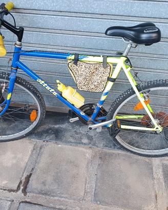 bicicletta 