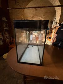 Acquario marino e dolce