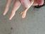Immagine 5