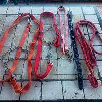 guinzagli per cani taglia media