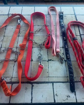 guinzagli per cani taglia media