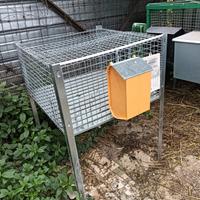 Gabbia coniglio maschio 