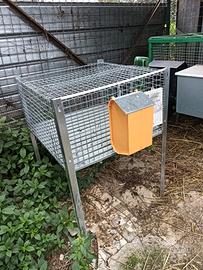 Gabbia coniglio maschio 