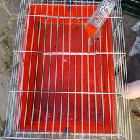 gabbia piccoli animali e bottiglia  roditori