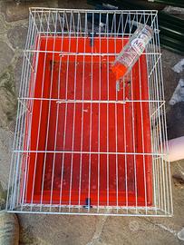 gabbia piccoli animali e bottiglia  roditori