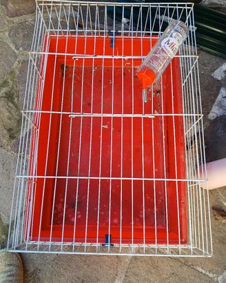 gabbia piccoli animali e bottiglia  roditori