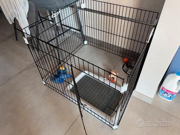 Box per cani