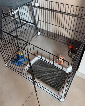 Box per cani