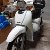 Scarabeo 50 cc usato