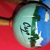 Maracas