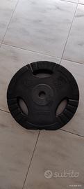 dischi palestra 15 kg