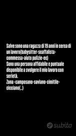 Babysitter-aiuto compiti-aiuto domestico-dama di c