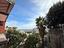 Immagine 11
