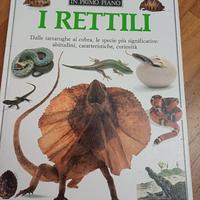 dinosauri e rettili