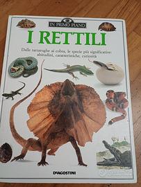 dinosauri e rettili