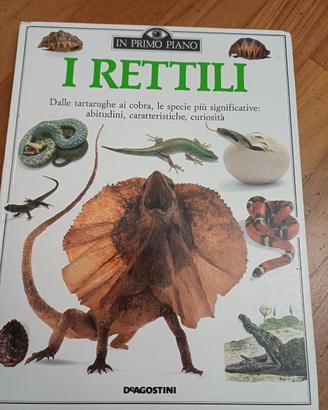 dinosauri e rettili