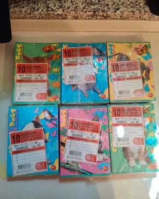 Pacco 10 quaderni Pigna