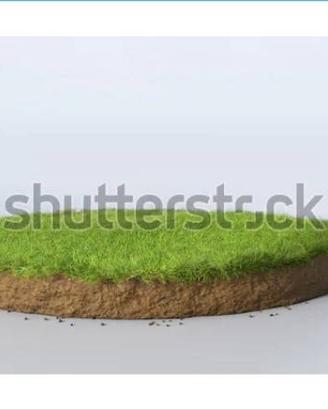 Terreno di 1741 m² a Mordano