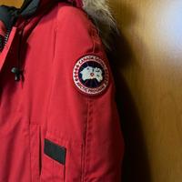 Canada goose Chilliwack

