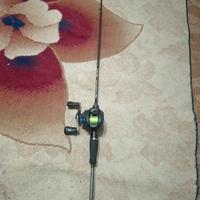 canna da pesca casting 