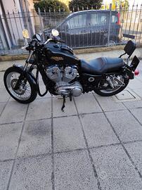  883 low 2009