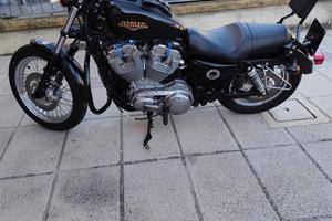  883 low 2009