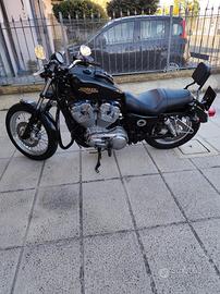 883 low 2009