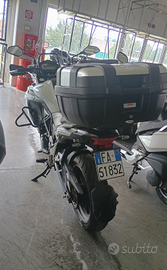 Benelli trk 502