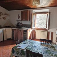 Appartamento Pochi Passi da Firenze RIF A261