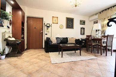 4 LOCALI A POGGIO MIRTETO