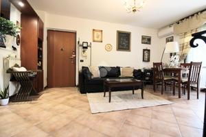 4 LOCALI A POGGIO MIRTETO