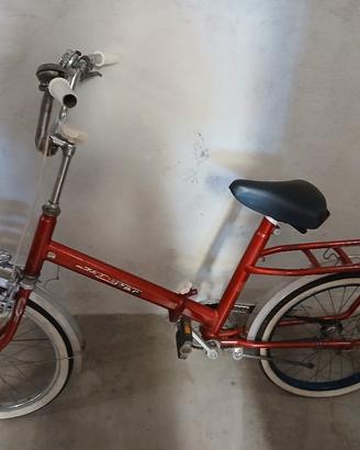 Bici pieghevole 