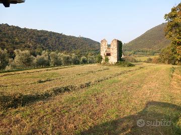 Rustico con terreno
