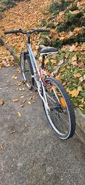 bici mtb donna 