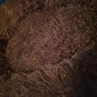 Cuccia morbida