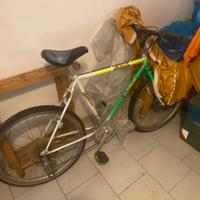 Bicicletta Mtb