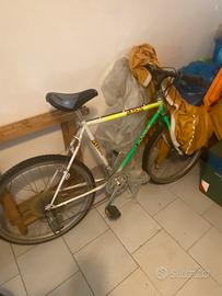 Bicicletta Mtb