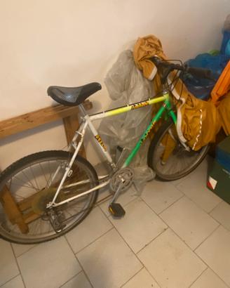 Bicicletta Mtb