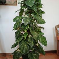 pianta artificiale 