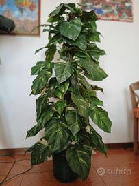 pianta artificiale 