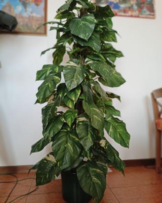 pianta artificiale 