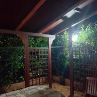 pergolato in legno