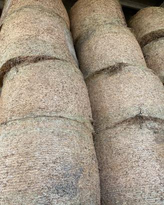 Rotoballe fieno erba medica