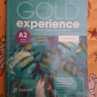 Libro di testo "gold experience" inglese