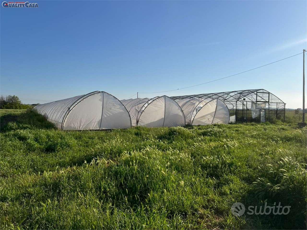 TERRENO PRONTO PER ATTIVITA AGRICOLA FALCONARA MA - Vista 3