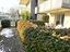 Immagine 23