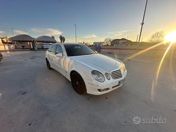 Mercedes-benz E 220 CDI cat EVO Elegance