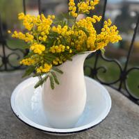 Set originale vintage brocca e catino smaltati.