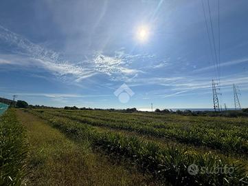 TER. AGRICOLO A SANTA MARINELLA